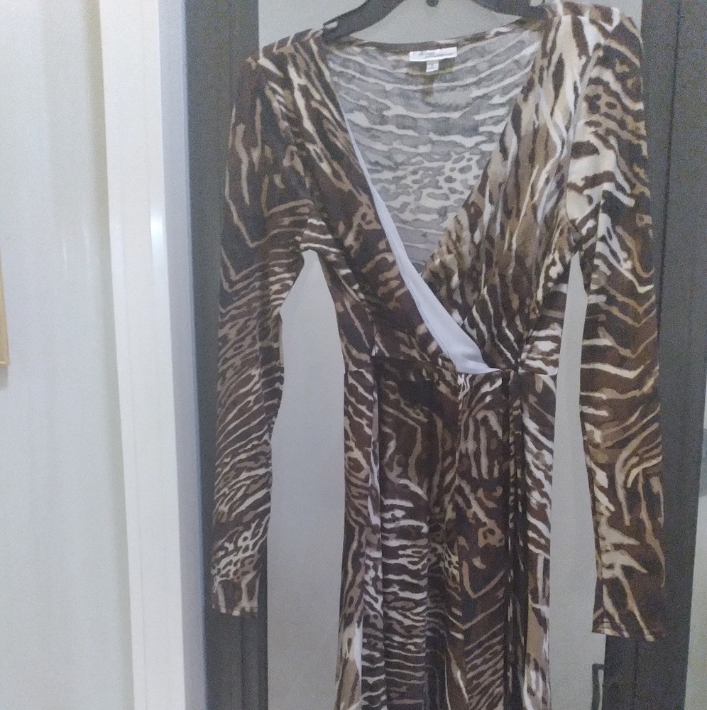 Tiger Striped Dress
